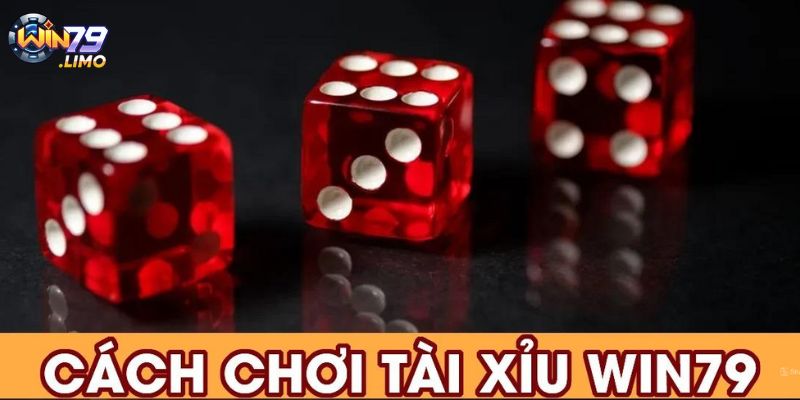 Cược tổng mang đến cơ hội giành chiến thắng cao ngất 